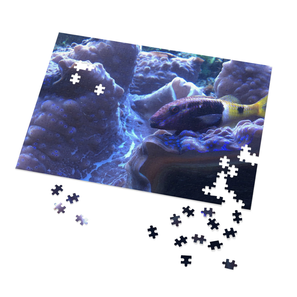 Giant Clam Reef Puzzle — Colorful Jigsaw Puzzle with Tin