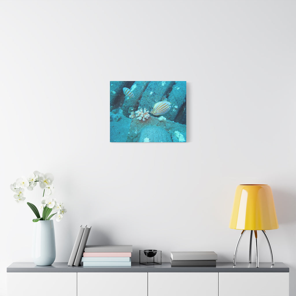 Tropical Butterflyfish Canvas Print — Underwater Coral Reef Wall Art