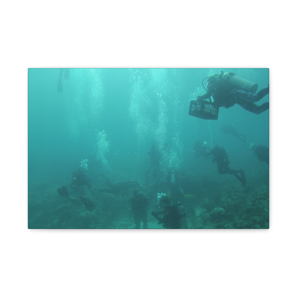 Diving over the Reef Matte Canvas
