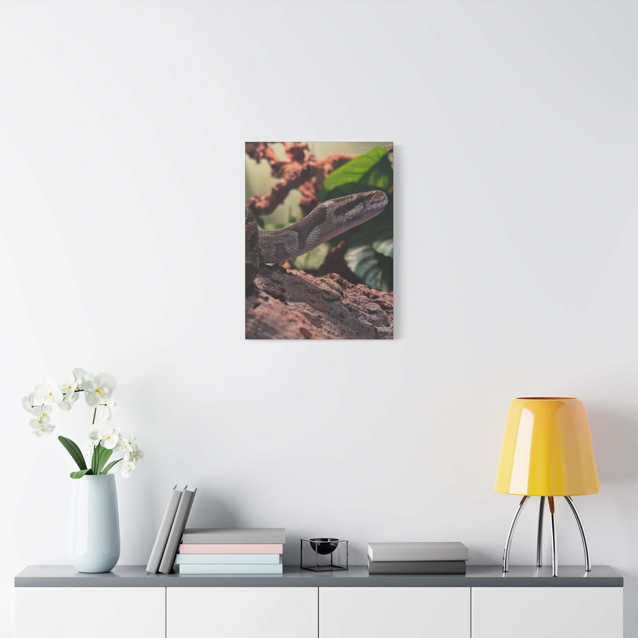 Ball Python Wildlife Matte Stretched Canvas Print — Reptile Wall Art