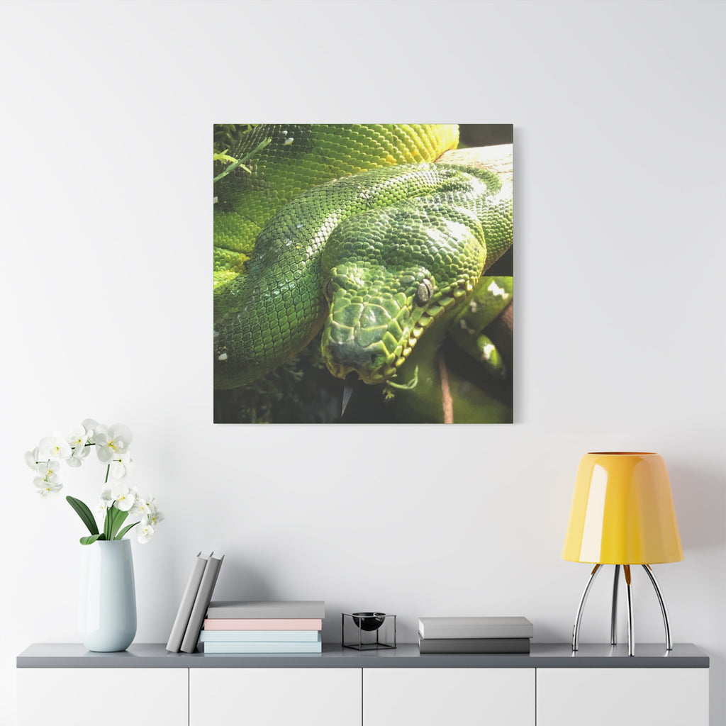 Green Tree Python Canvas Print — Tropical Snake Wall Art (Matte Stretched)