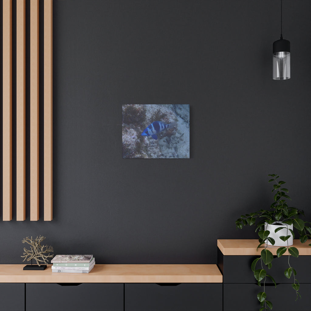 Indigo Hamlet Canvas Print — Underwater Matte Stretched Wall Art