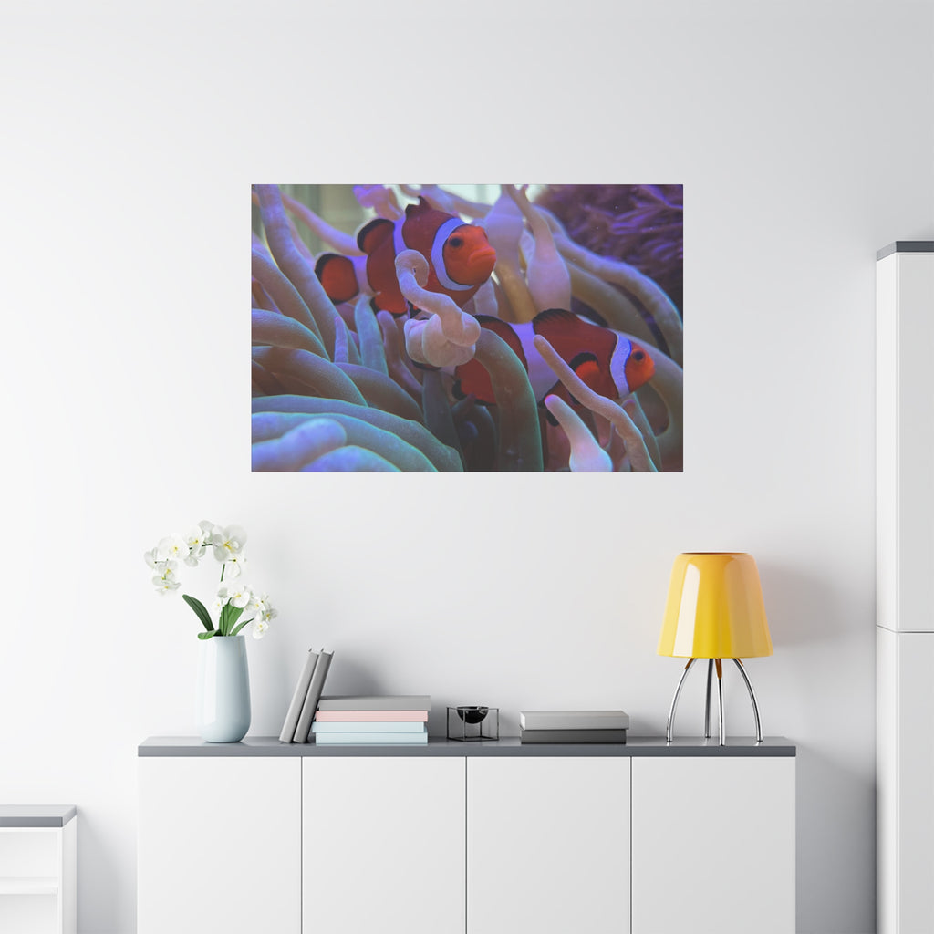 Clownfish Reef Matte Stretched Canvas Wall Art