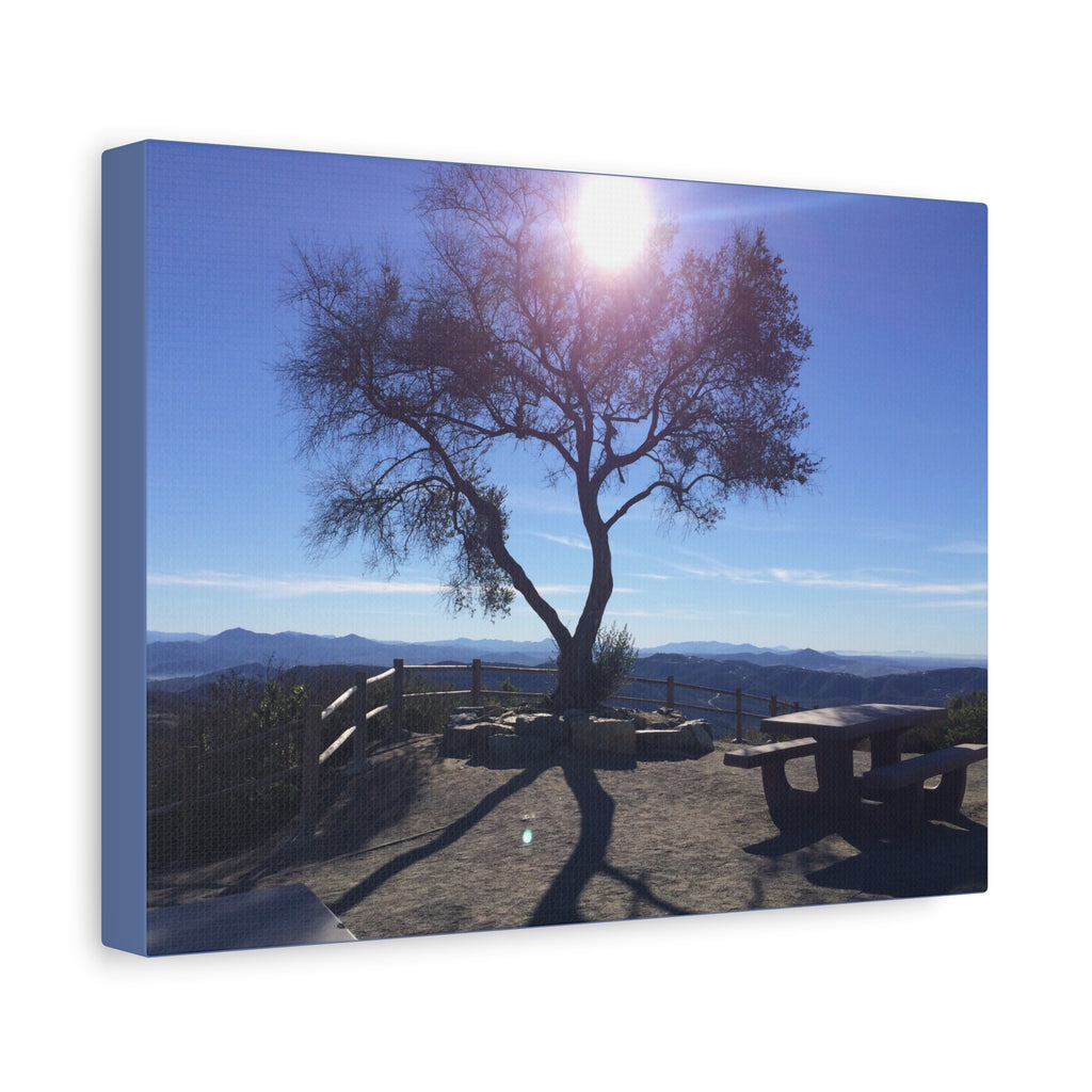 Sunlit Ridge Tree Matte Canvas Print — Scenic Landscape Wall Art