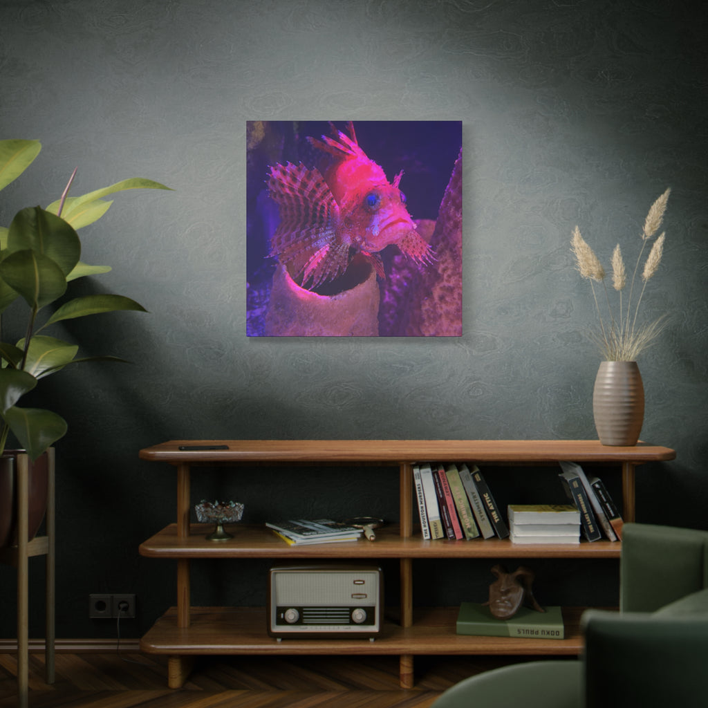 Fuzzy Dwarf Lionfish Canvas Print — Vibrant Marine Wall Art (1.25" Stretched)