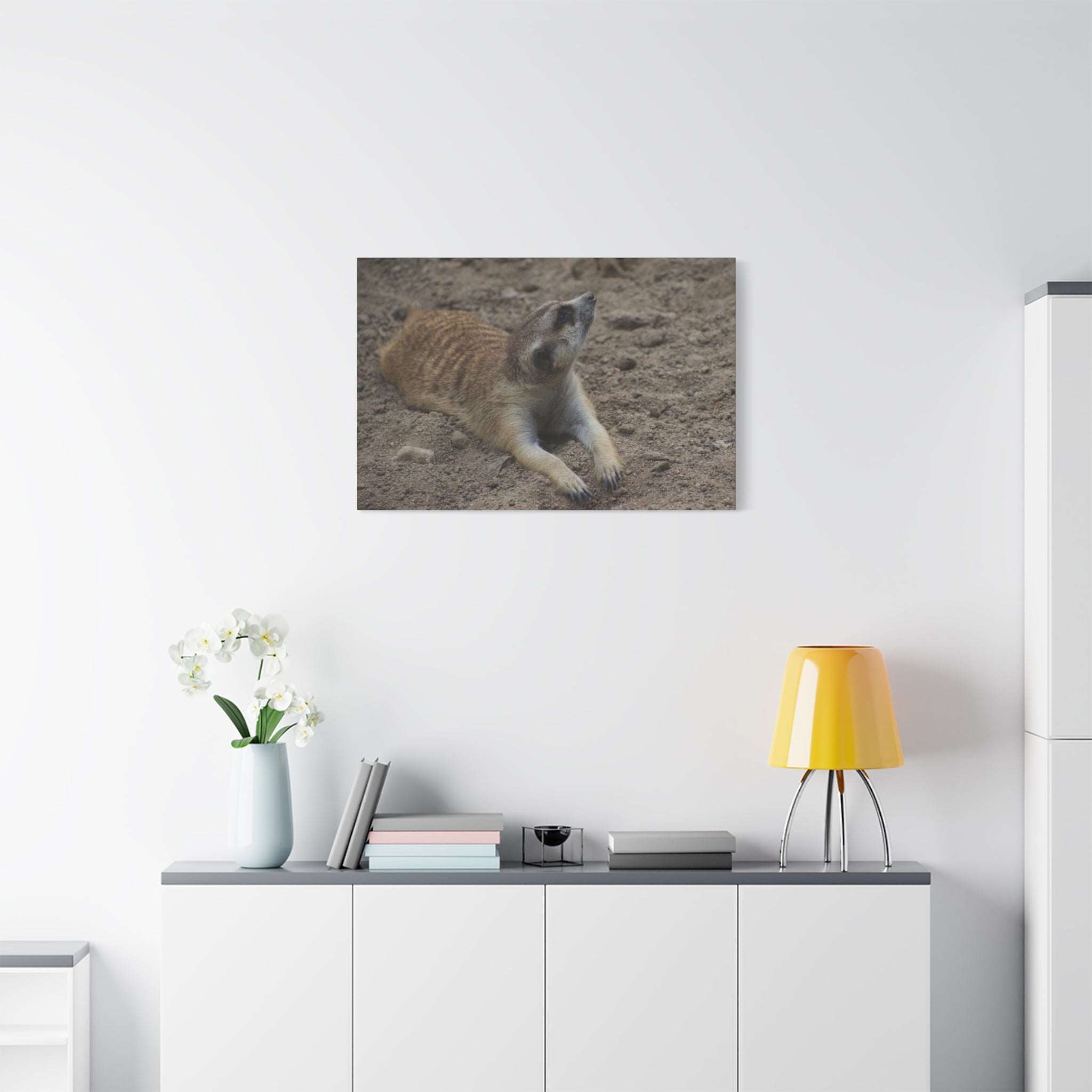 Meerkat Stretch Canvas Wall Art – Relaxed Desert Wildlife Print
