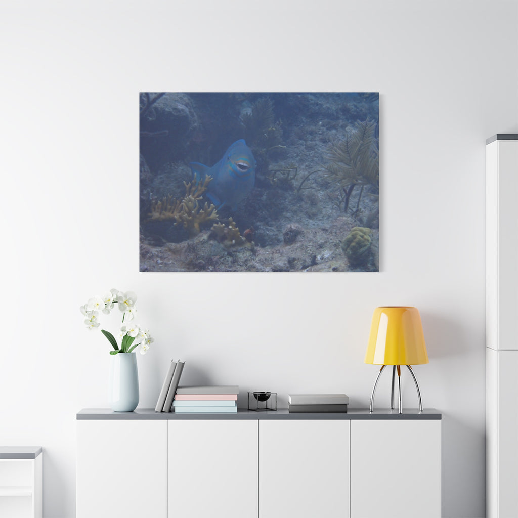 Underwater Parrotfish Canvas Print — Tropical Reef Wall Art
