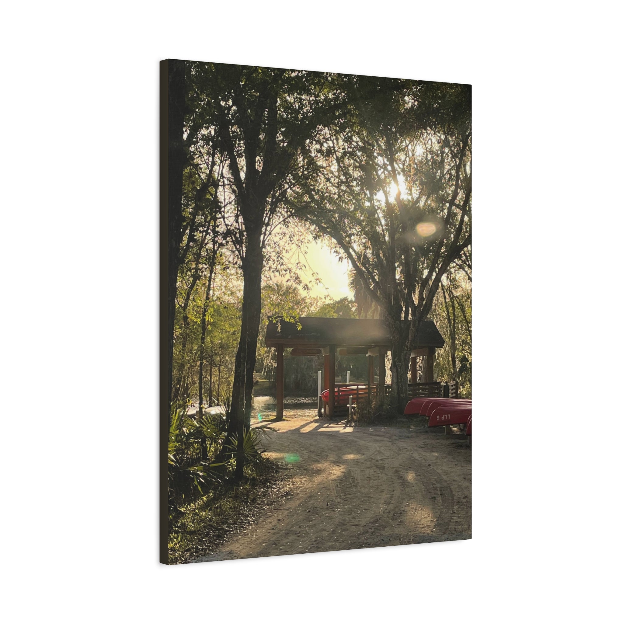 Hazy Morning Kayak - Sunlit Forest Matte Stretched Wall Art