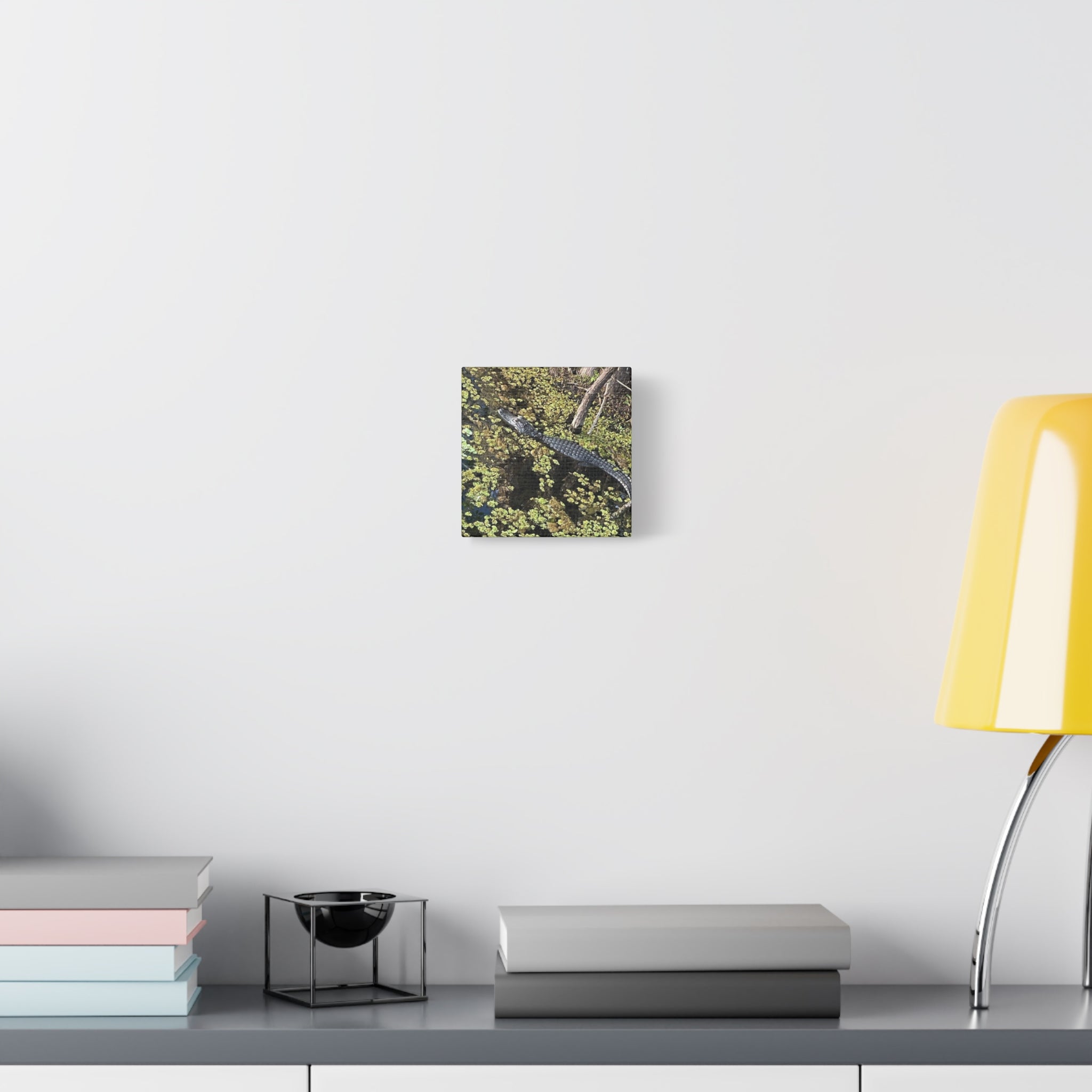 Alligator Photography Canvas Print — Matte Stretched Wall Art