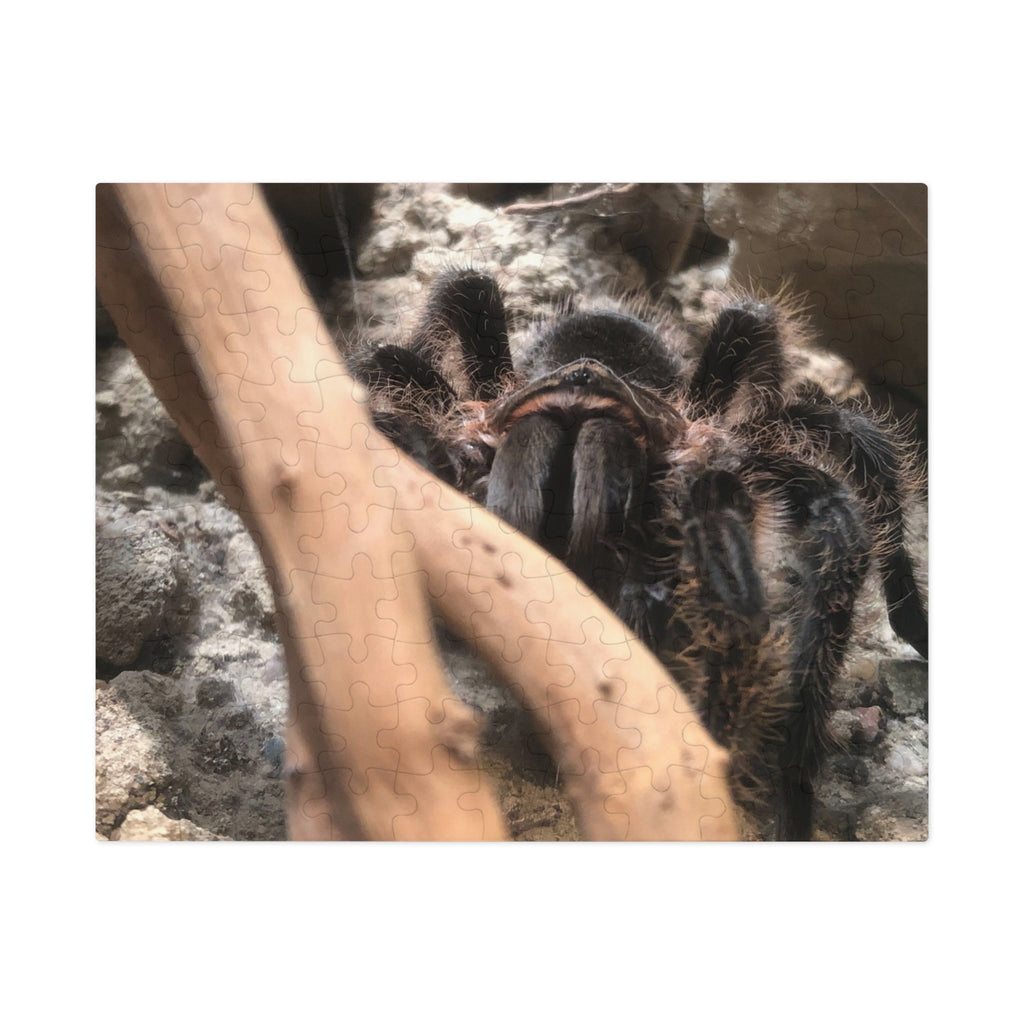 Tarantula Jigsaw Puzzle with Tin – Realistic Arachnid Puzzle for Enthusiasts