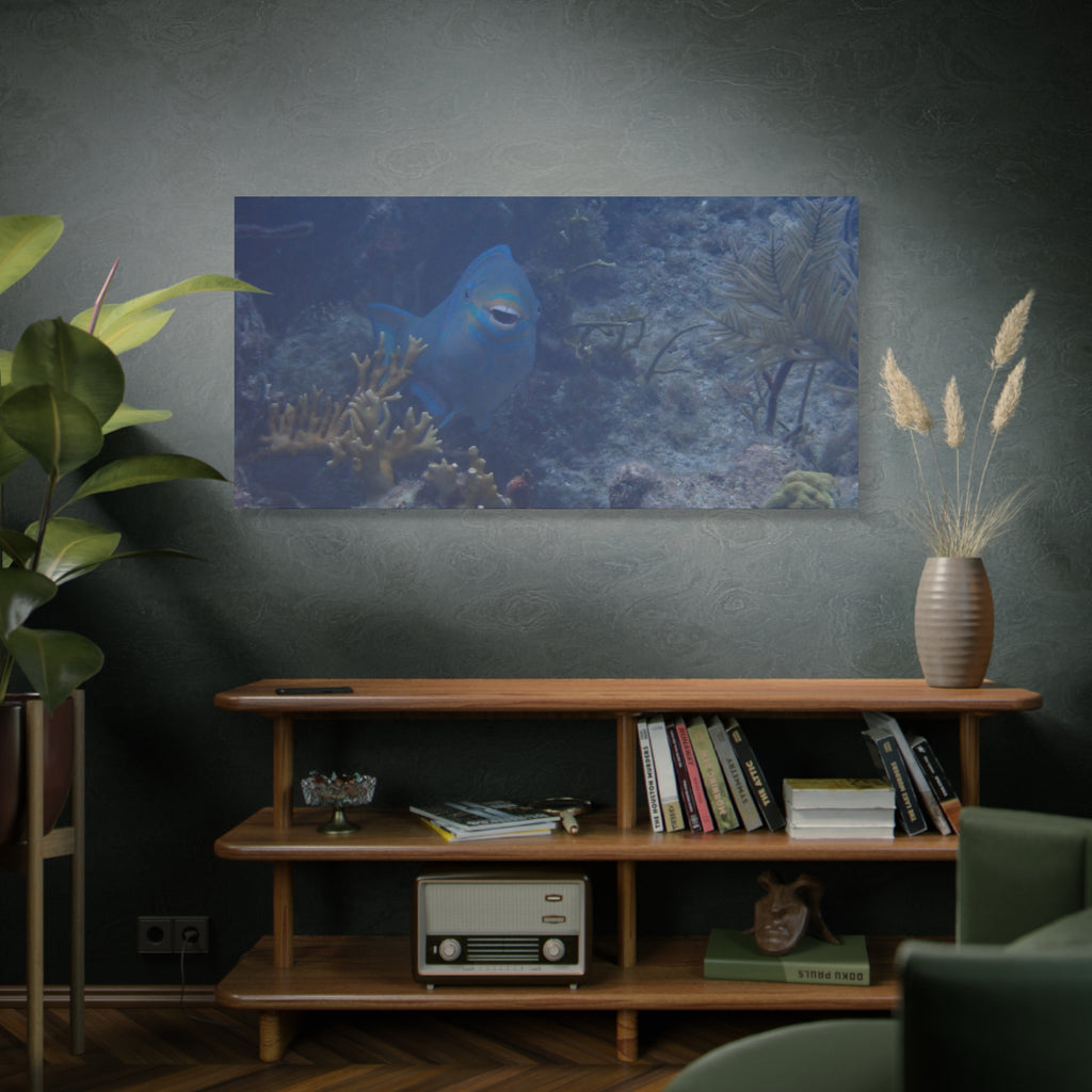 Underwater Parrotfish Canvas Print — Tropical Reef Wall Art