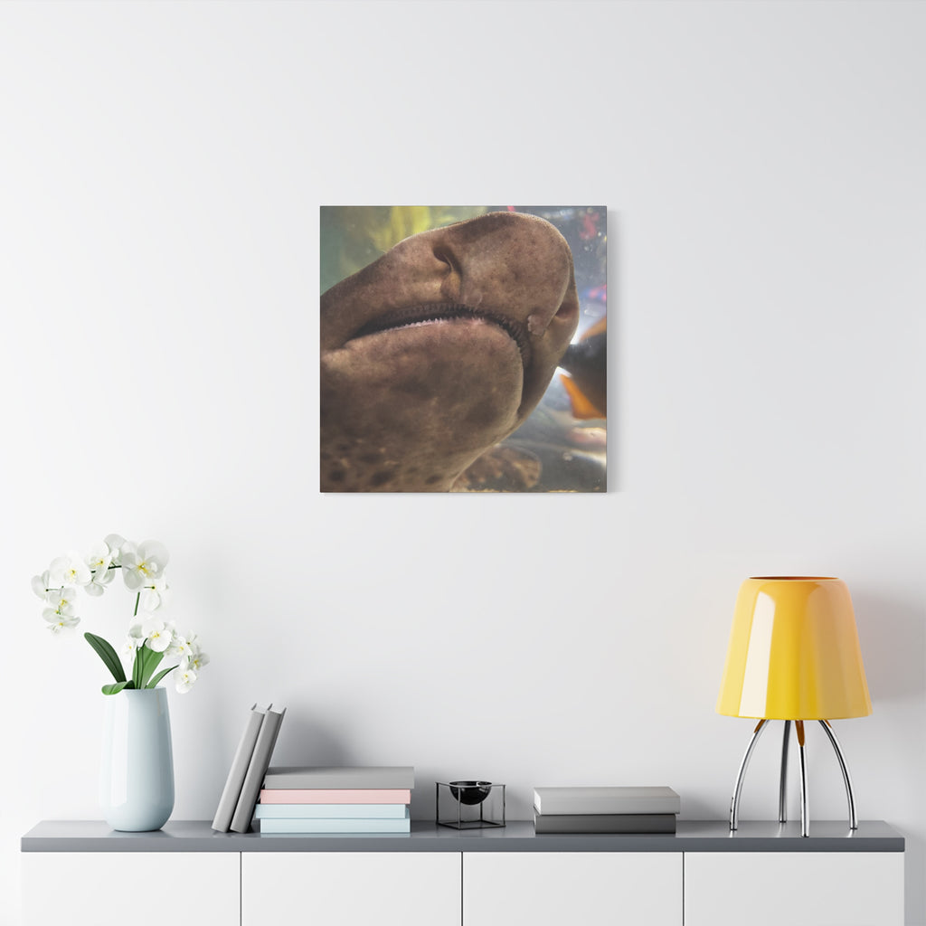 Swell Shark Close-Up Matte Canvas Print — Stretched 1.25" Wall Art