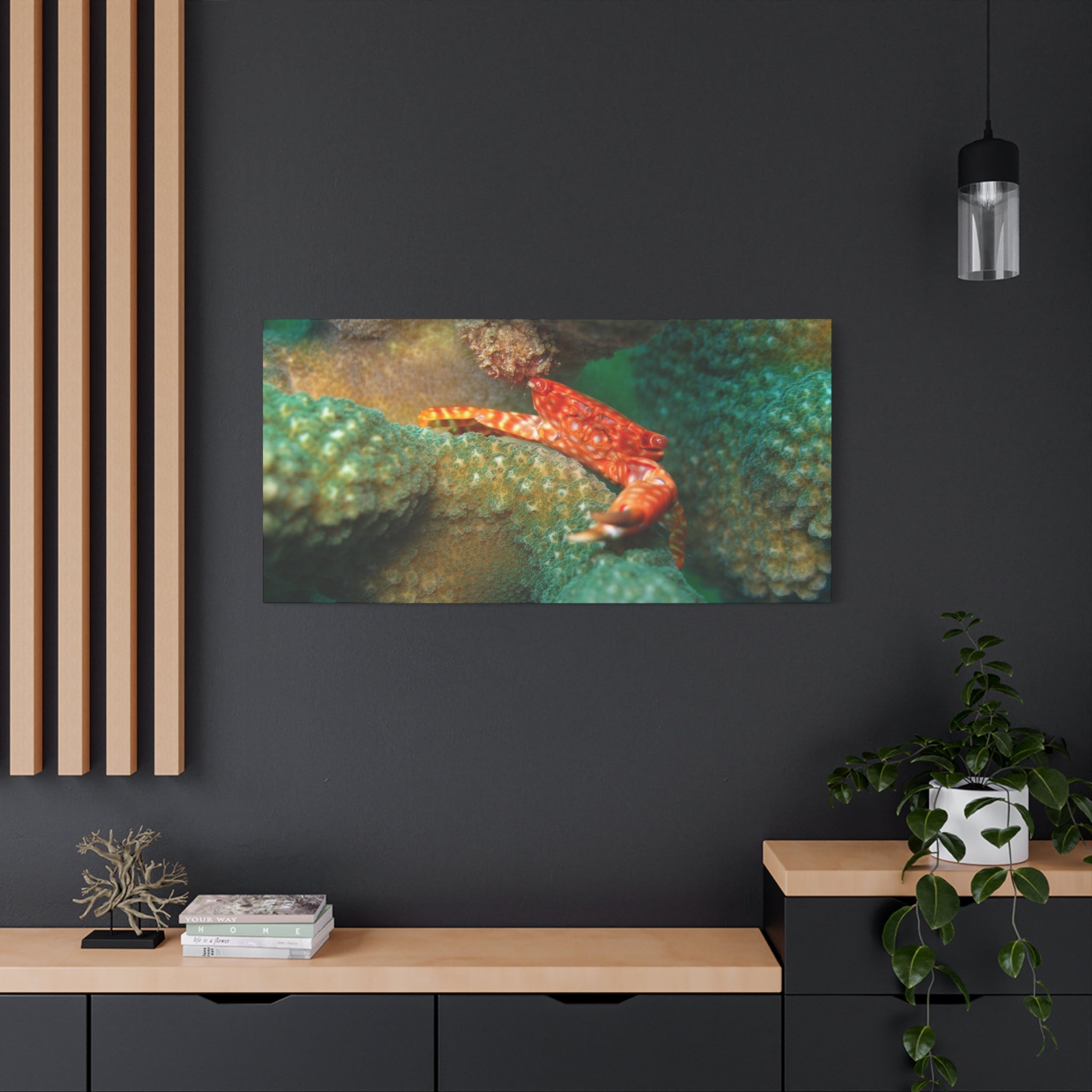 Coral Reef Crab Matte Canvas Print — Underwater Marine Wall Art