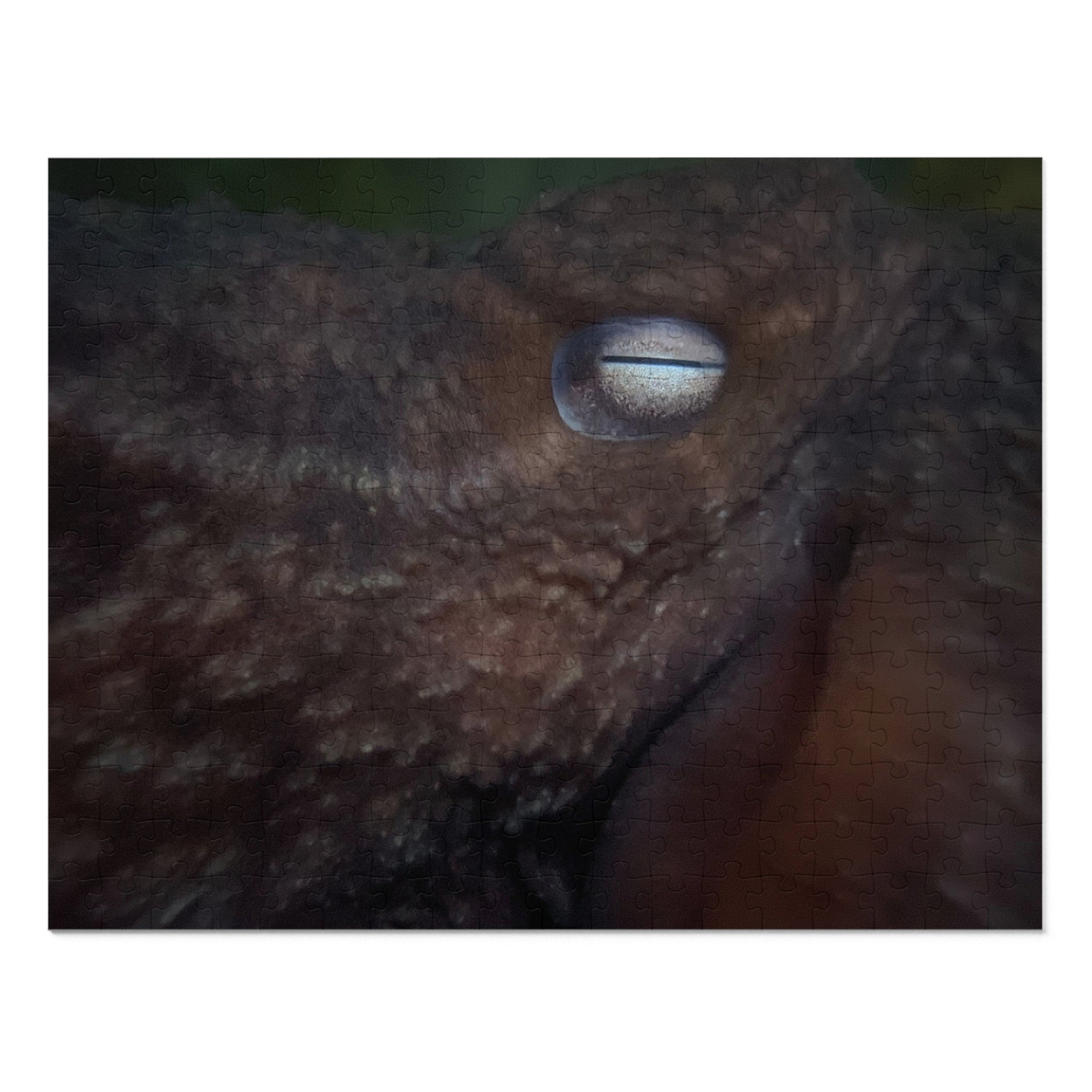 Octopus Eye Jigsaw Puzzle with Tin — Dark Ocean Marine Life Puzzle Gift