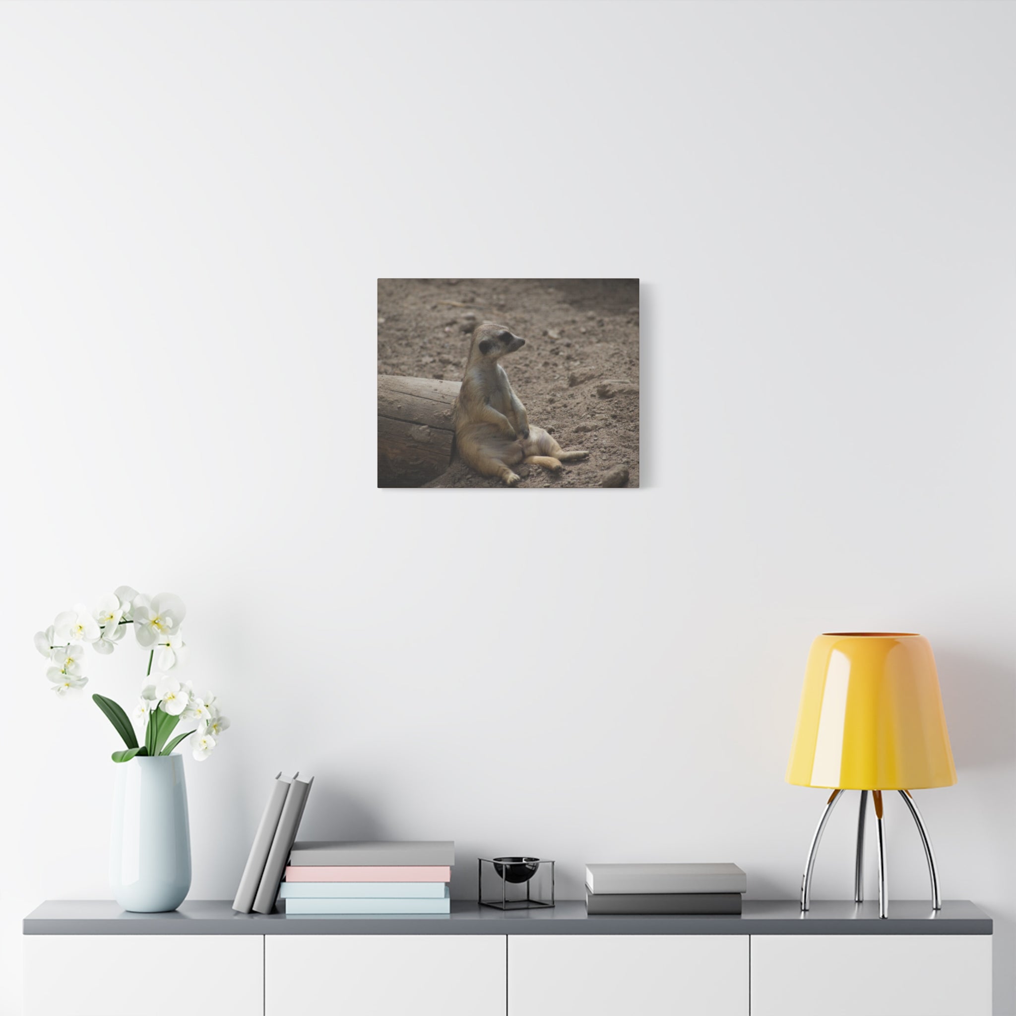 Relaxed Meerkat Matte Canvas Wall Art — Cute Animal Photo Print