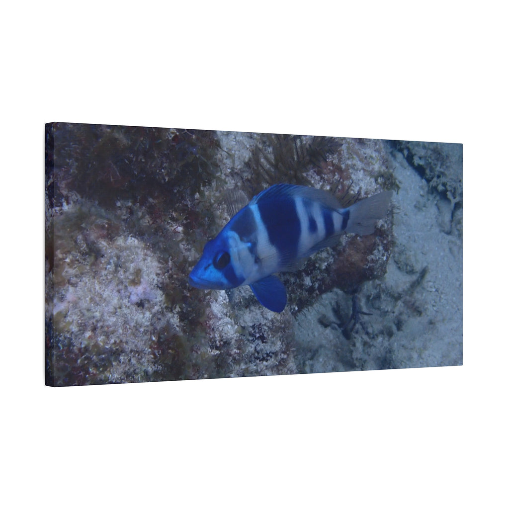 Indigo Hamlet Canvas Print — Underwater Matte Stretched Wall Art
