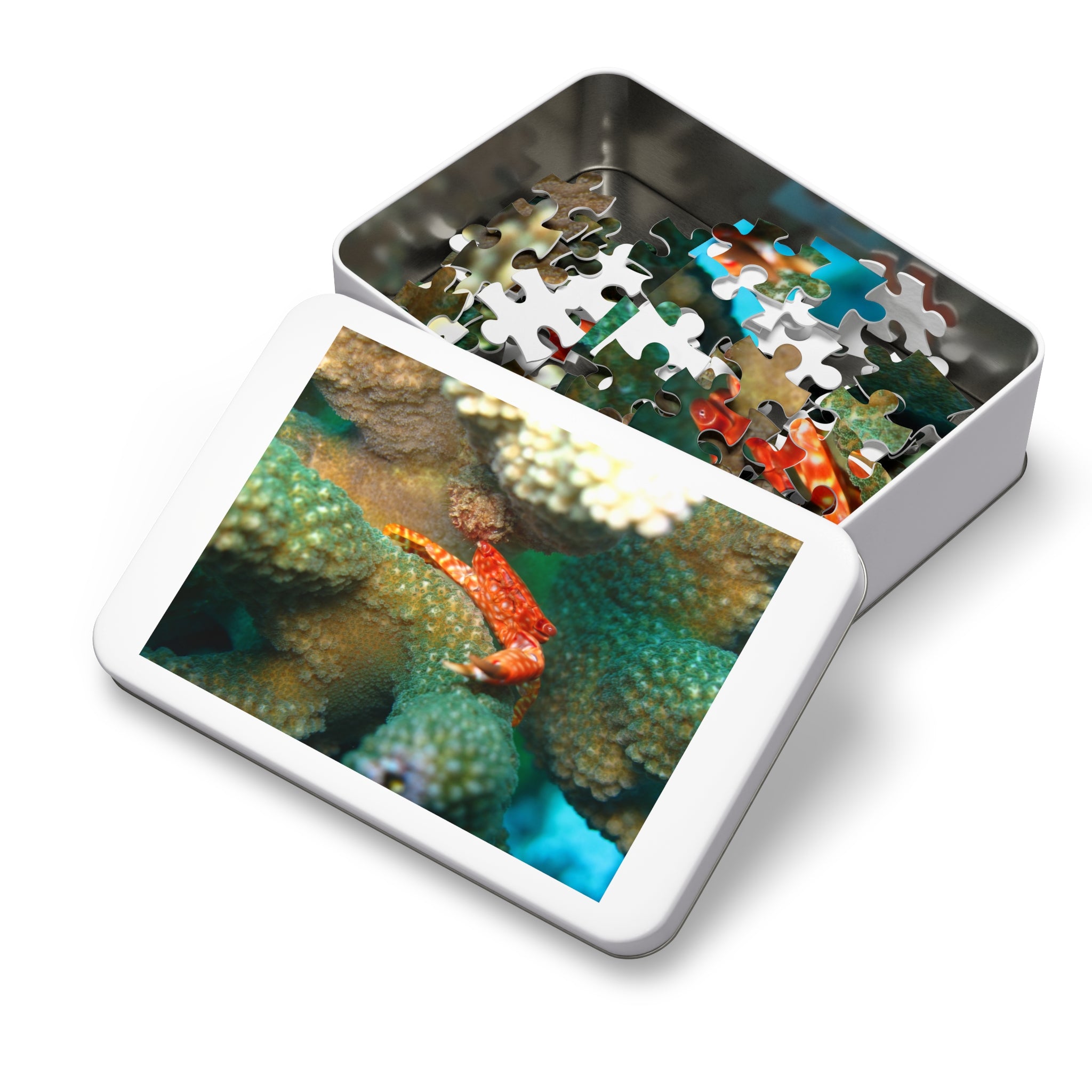 Coral Reef Crab Jigsaw Puzzle (with Tin) — Ocean Puzzle Gift