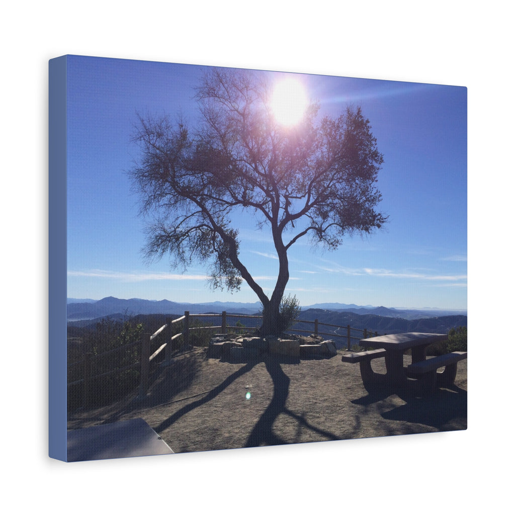 Sunlit Ridge Tree Matte Canvas Print — Scenic Landscape Wall Art