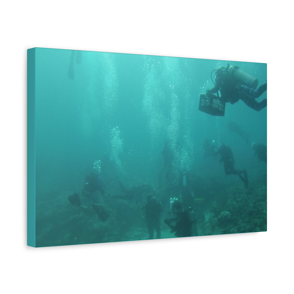 Diving over the Reef Matte Canvas