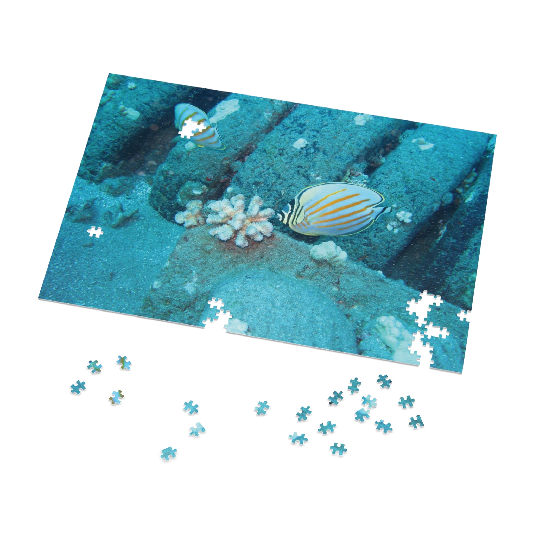 Underwater Butterflyfish Jigsaw Puzzle with Tin – Ocean Coral Reef