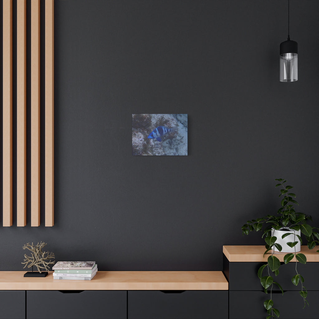 Indigo Hamlet Canvas Print — Underwater Matte Stretched Wall Art