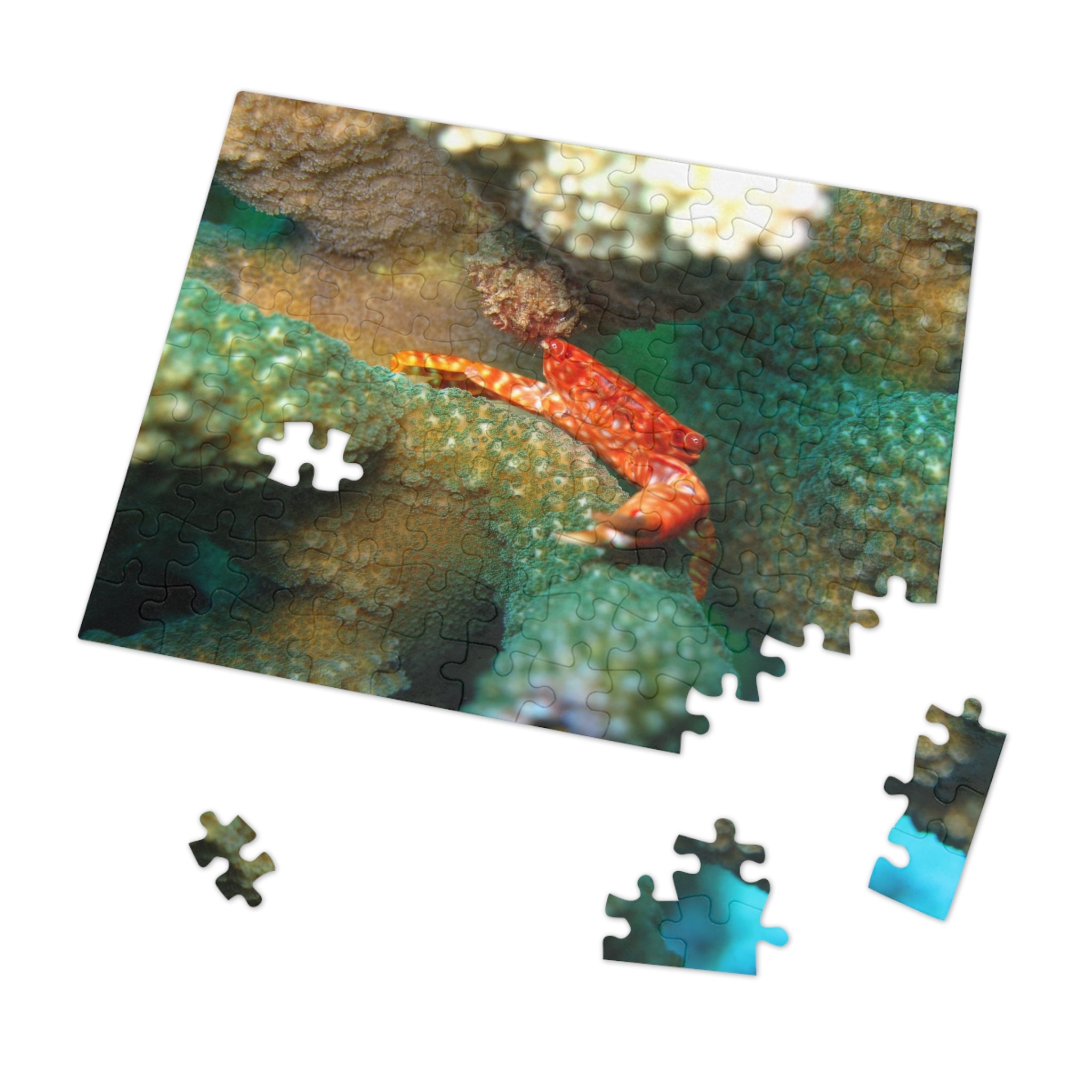 Coral Reef Crab Jigsaw Puzzle (with Tin) — Ocean Puzzle Gift