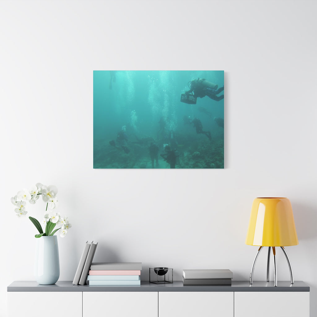 Diving over the Reef Matte Canvas