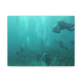 Diving over the Reef Matte Canvas