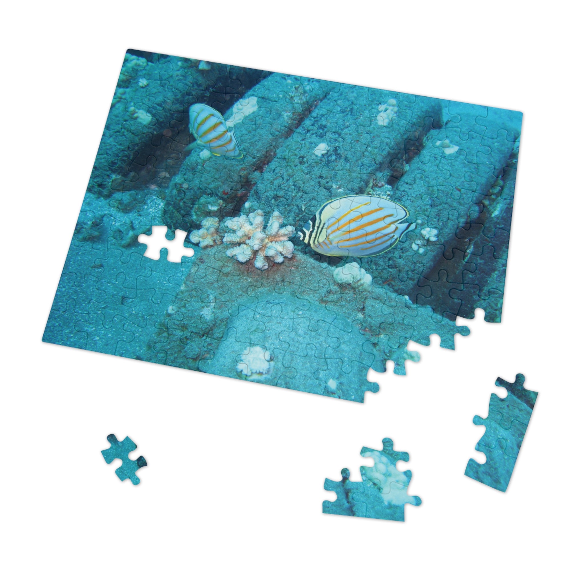 Underwater Butterflyfish Jigsaw Puzzle with Tin – Ocean Coral Reef