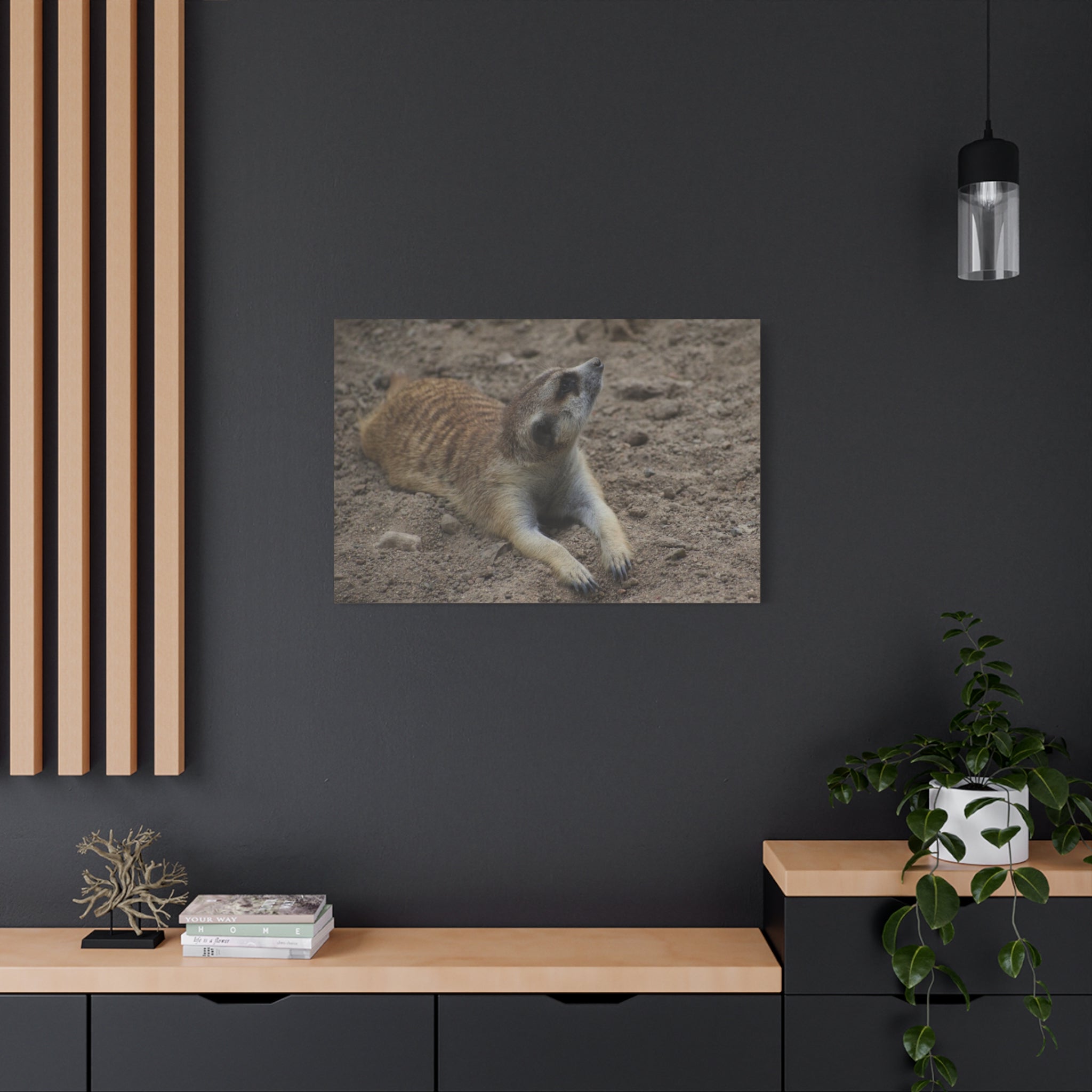 Meerkat Stretch Canvas Wall Art – Relaxed Desert Wildlife Print