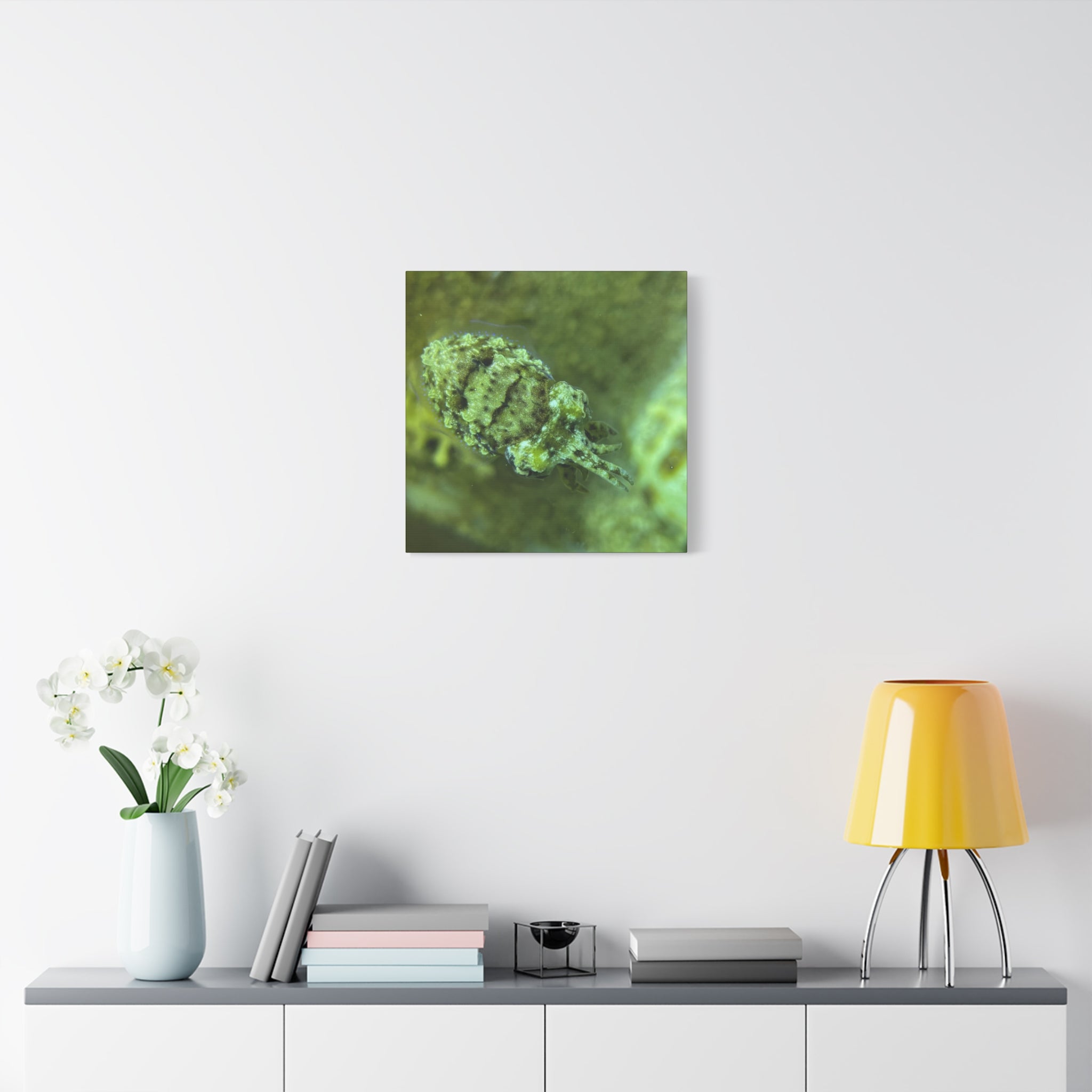 Dwarf Cuttlefish Canvas Print — Matte Stretched Sea Life Wall Art