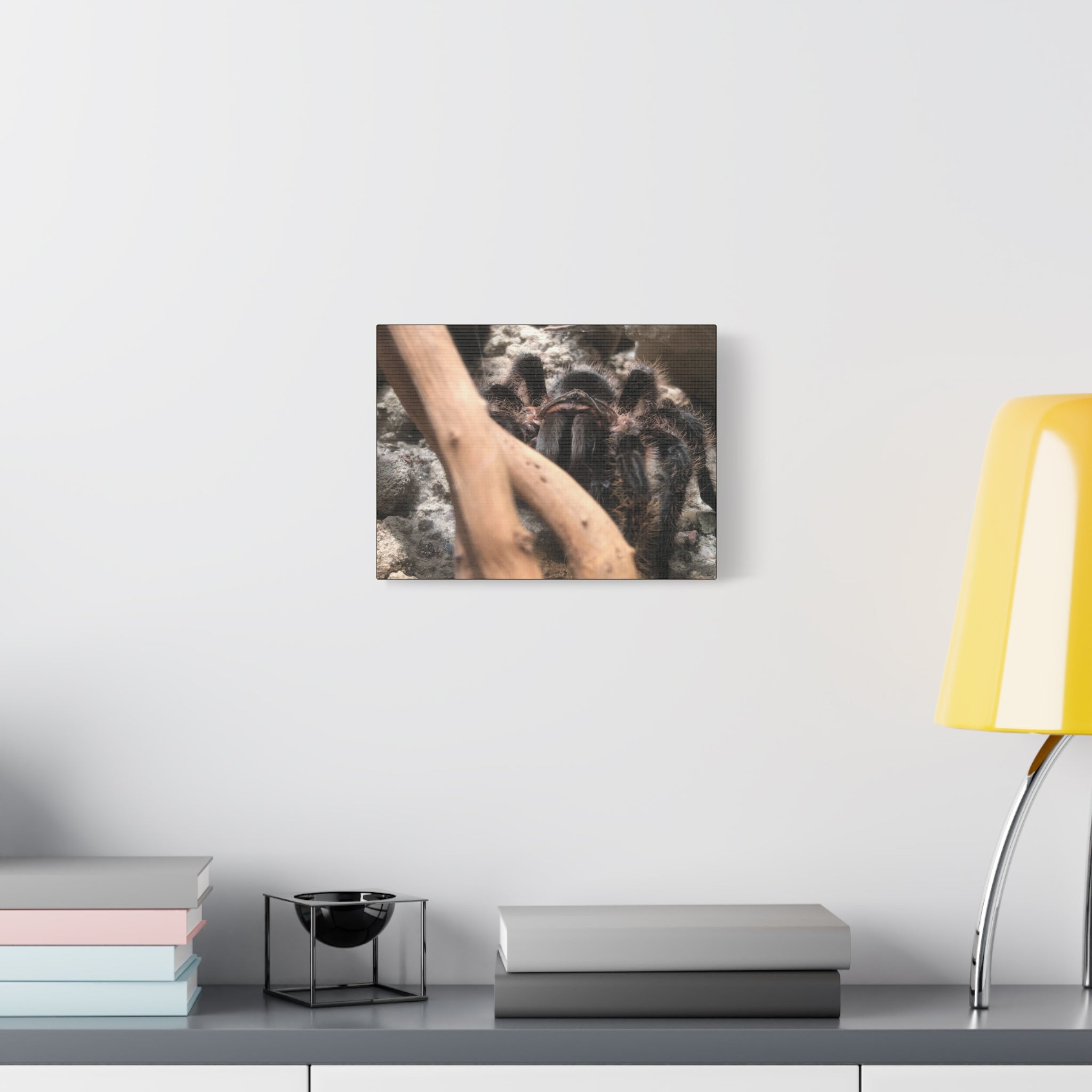 Tarantula Staredown Matte Canvas Print — Naturalistic Arachnid Wall Art
