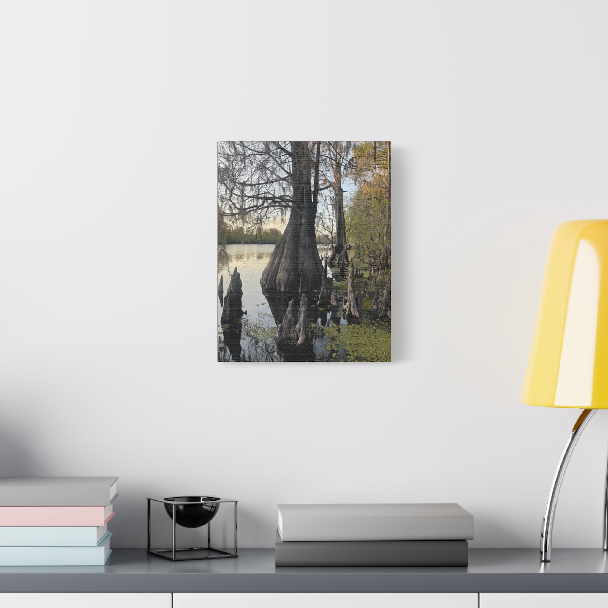 Swamp Matte Stretched Canvas