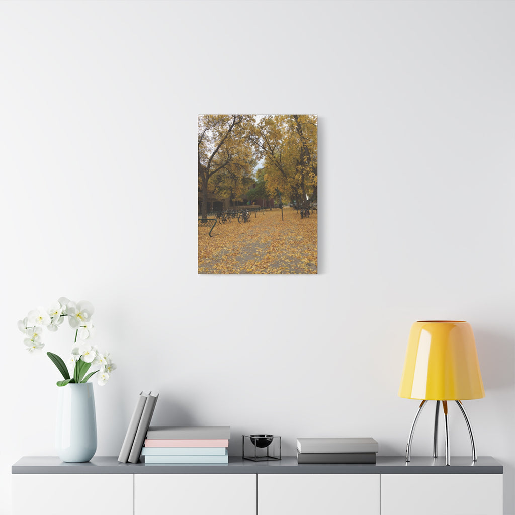 Autumn Campus Walk Matte Canvas Print