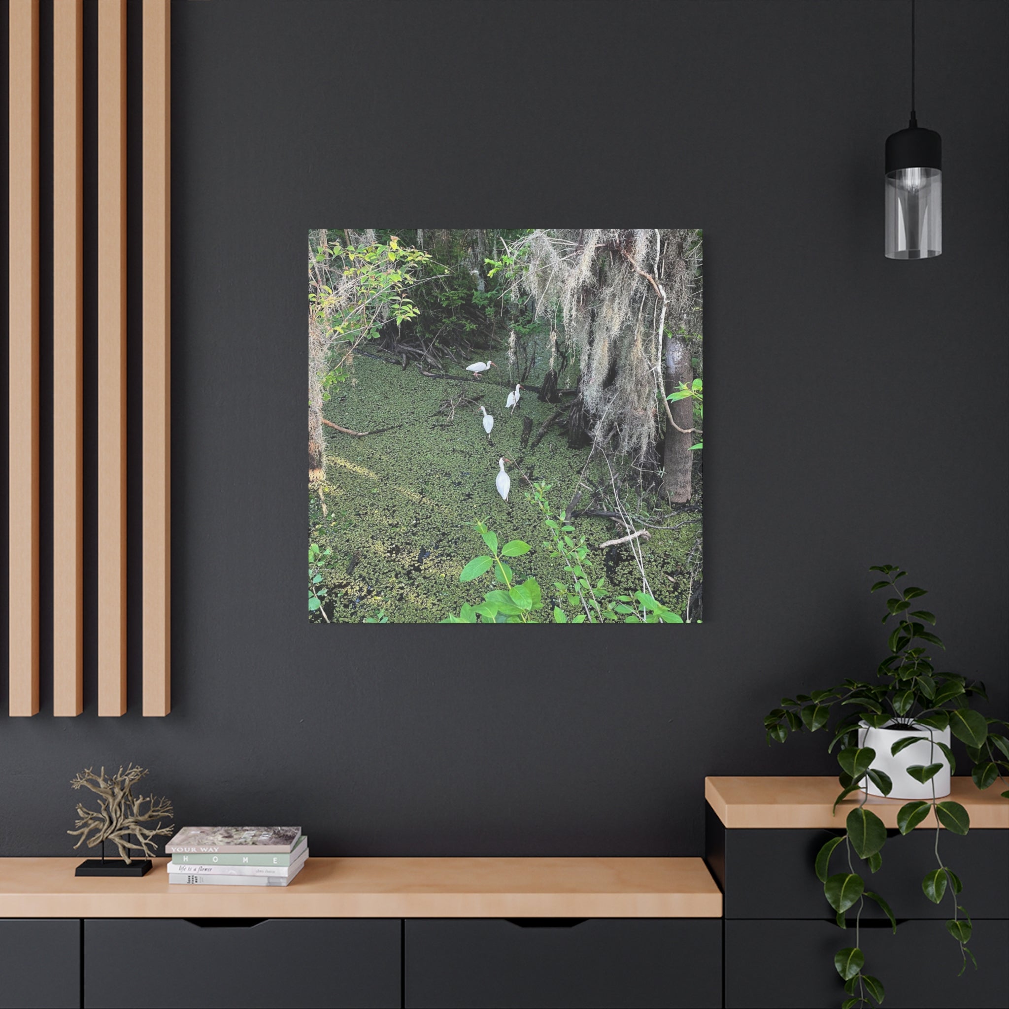 Swamp Egrets Canvas Print — Matte Stretched Nature Wall Art