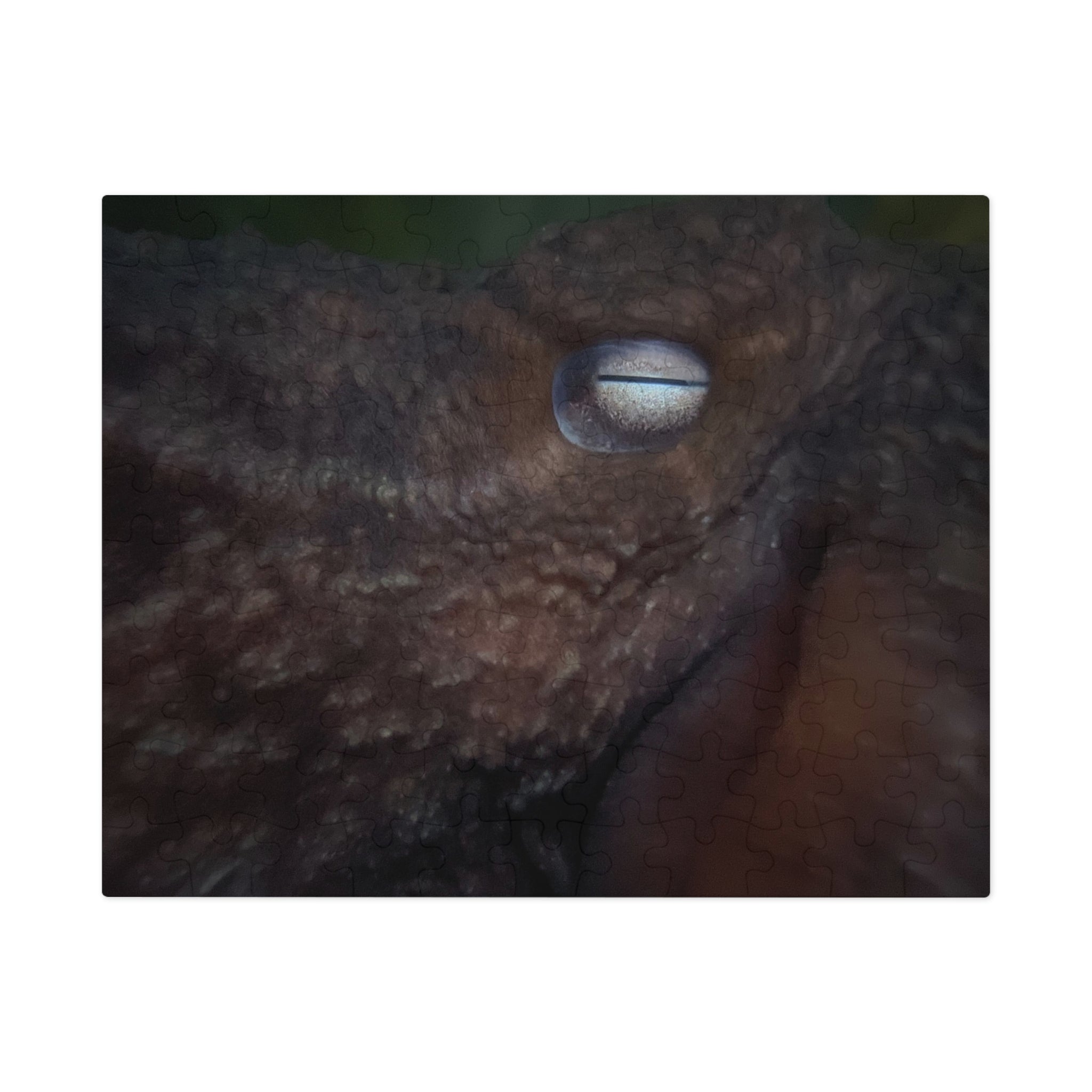 Octopus Eye Jigsaw Puzzle with Tin — Dark Ocean Marine Life Puzzle Gift