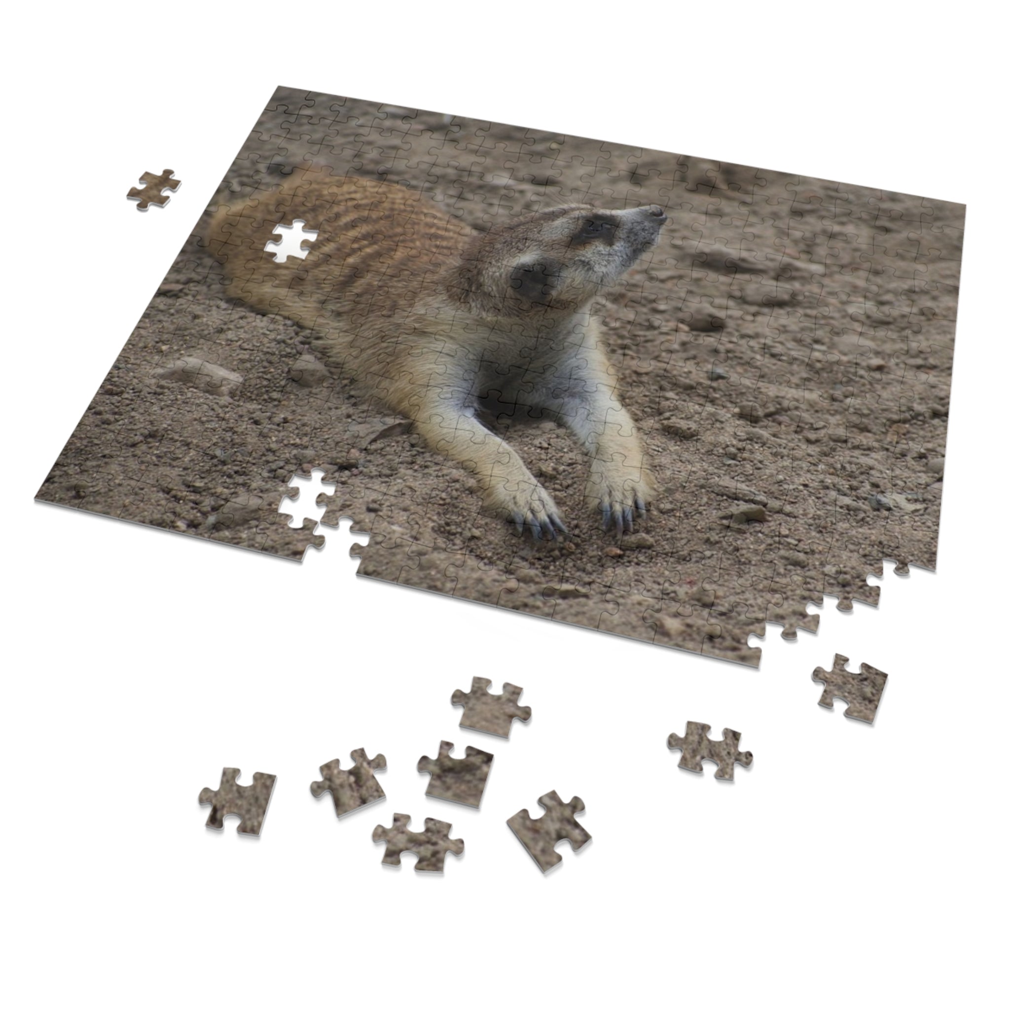 Meerkat Jigsaw Puzzle with Tin – Wildlife Puzzle Gift
