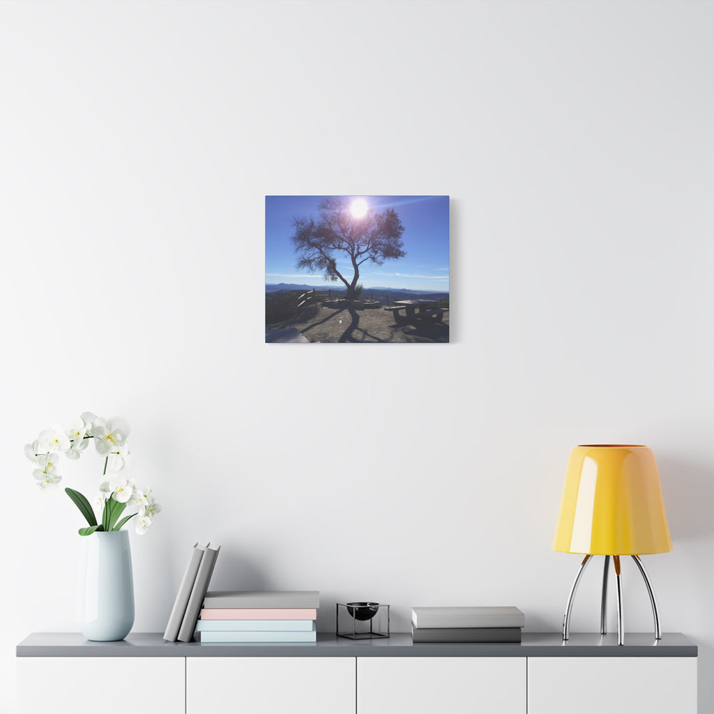 Sunlit Ridge Tree Matte Canvas Print — Scenic Landscape Wall Art
