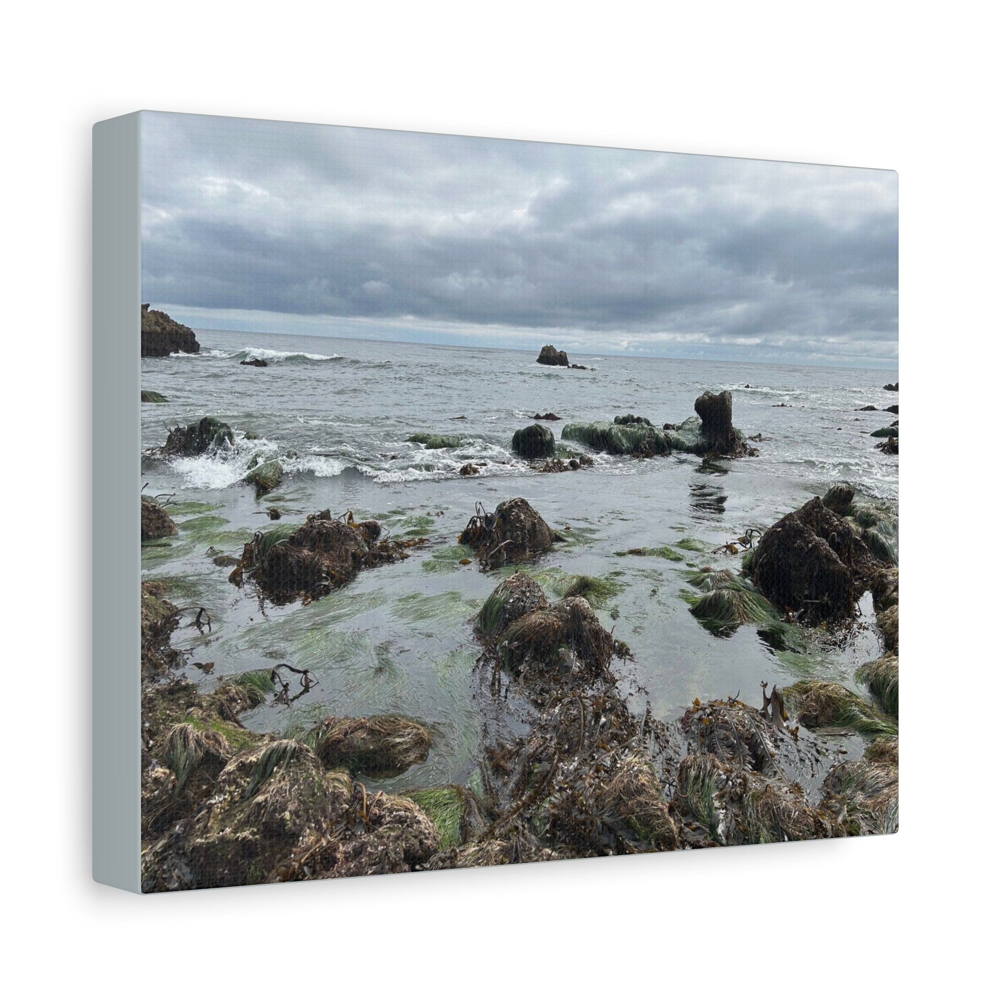 Coastal Tidepool Canvas Wall Art – Moody Gray Seashore Matte Stretched Canvas