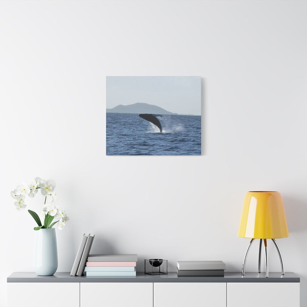 Humpback Whale Breach Matte Canvas Wall Art