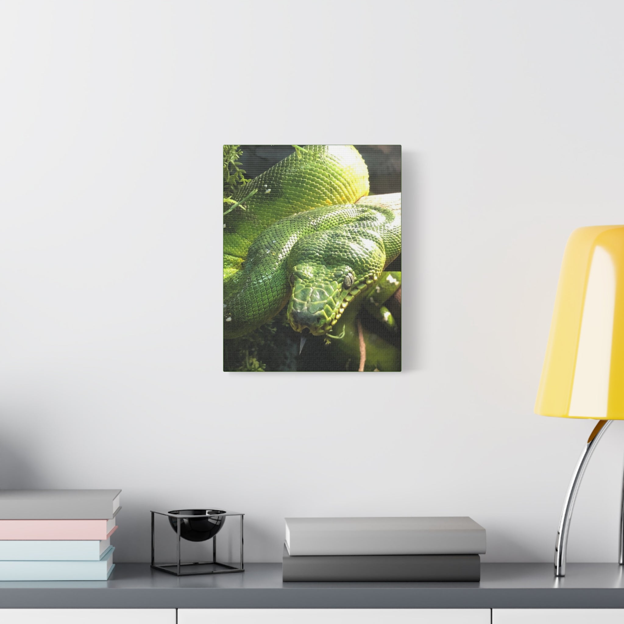 Green Tree Python Canvas Print — Tropical Snake Wall Art (Matte Stretched)