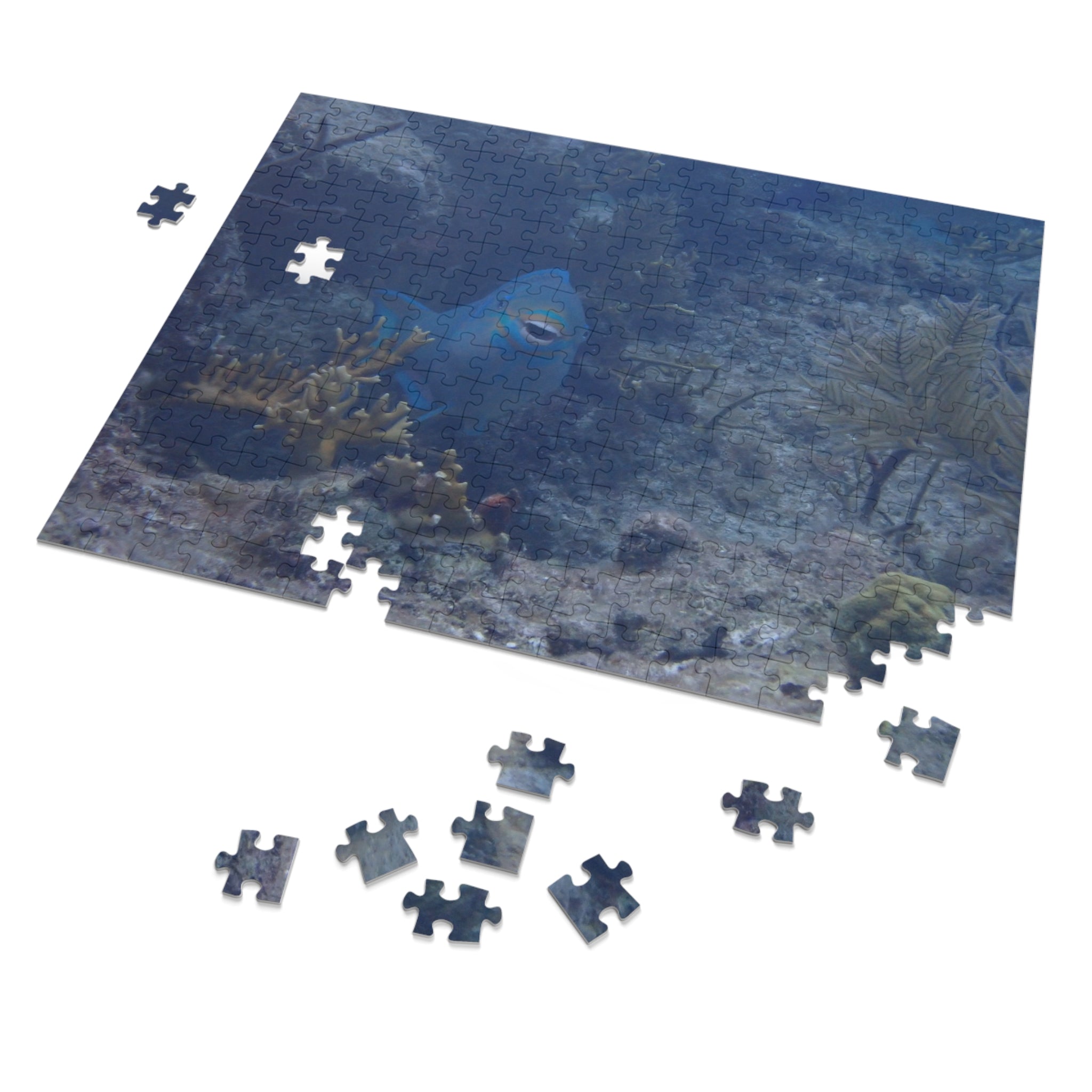 Smiling Parrotfish Jigsaw Puzzle with Tin – Ocean Reef Puzzle Gift