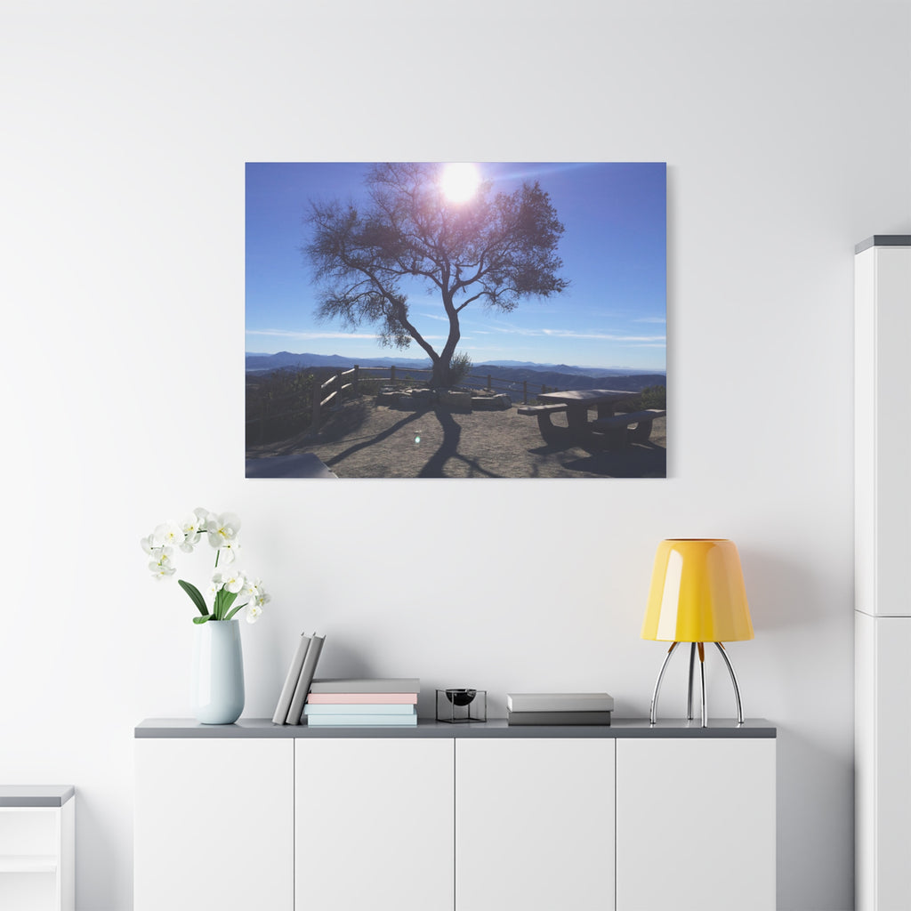 Sunlit Ridge Tree Matte Canvas Print — Scenic Landscape Wall Art
