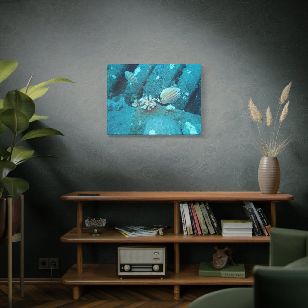 Tropical Butterflyfish Canvas Print — Underwater Coral Reef Wall Art