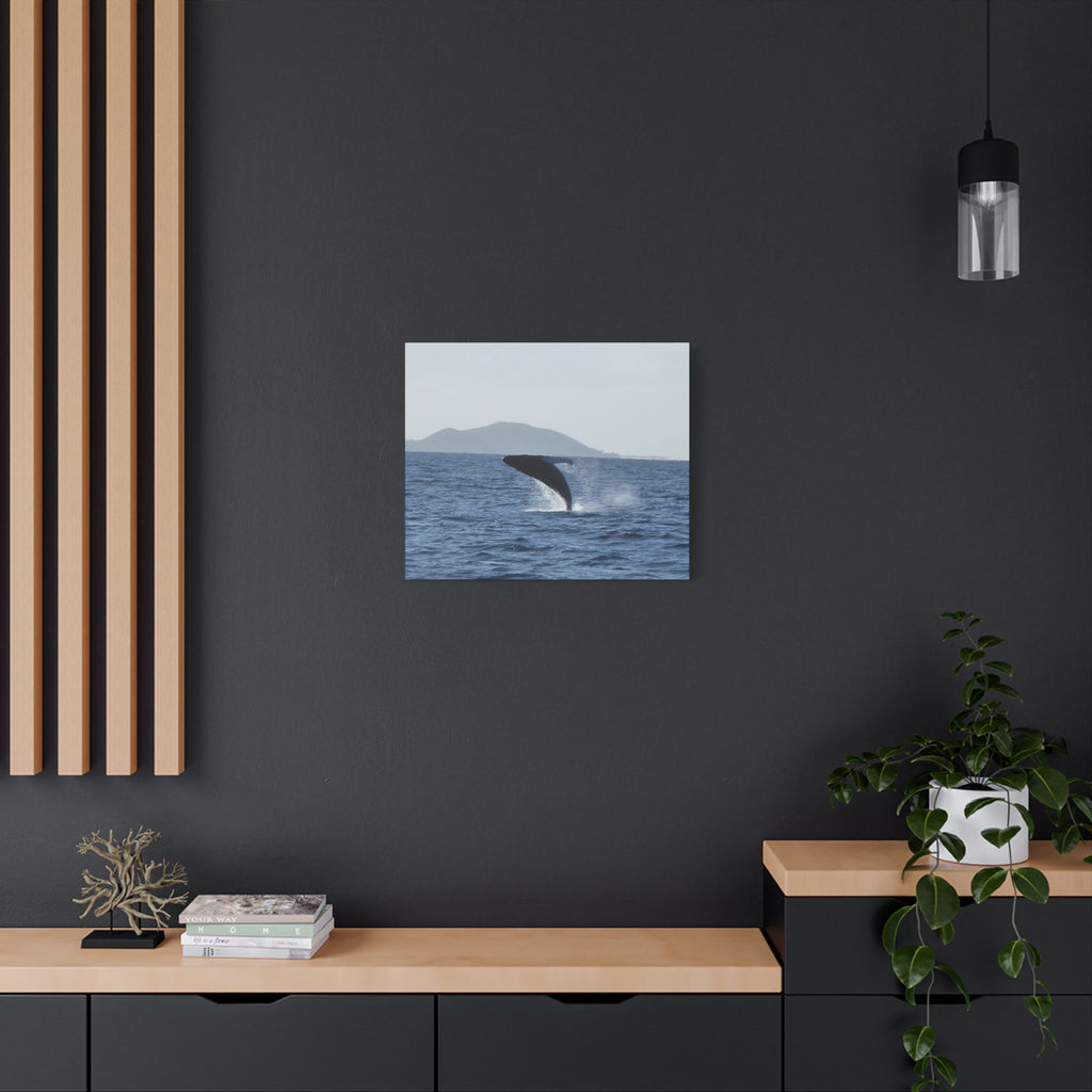 Humpback Whale Breach Matte Canvas Wall Art