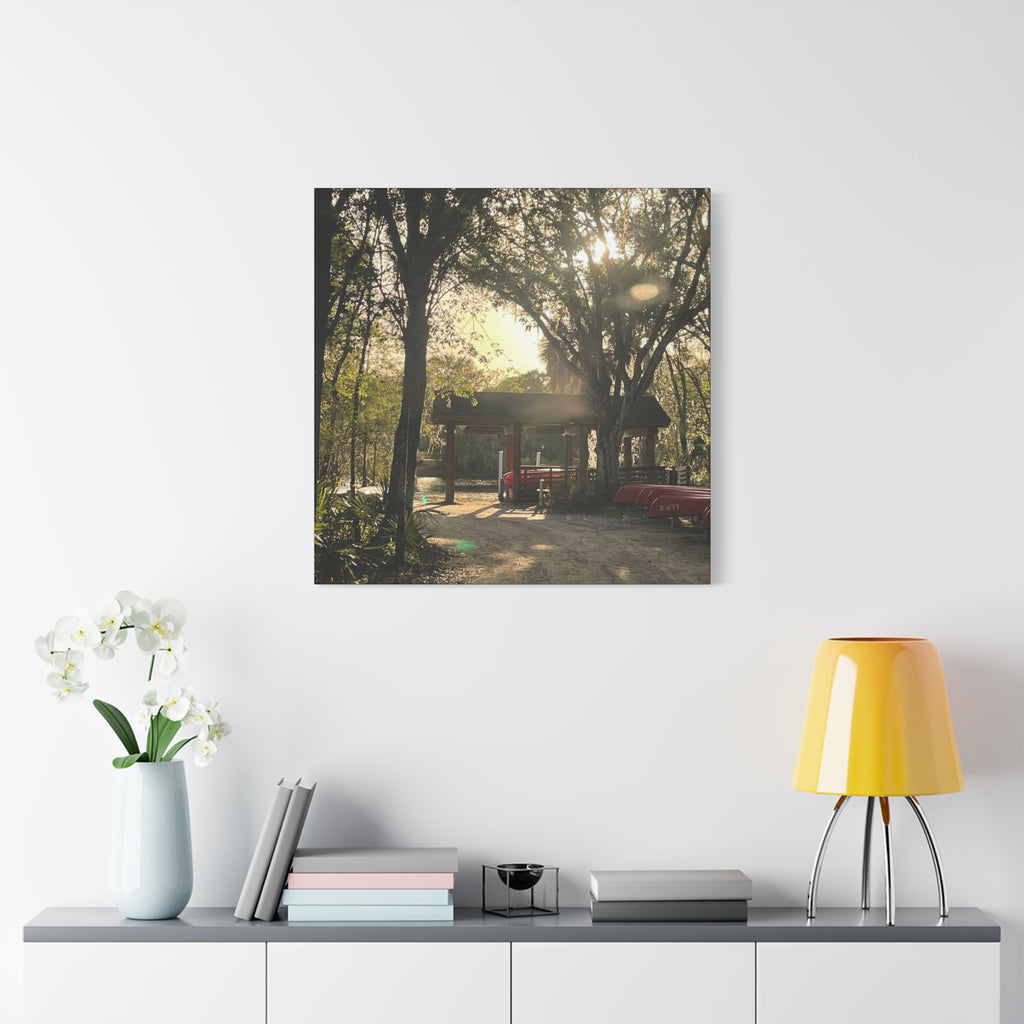 Hazy Morning Kayak - Sunlit Forest Matte Stretched Wall Art