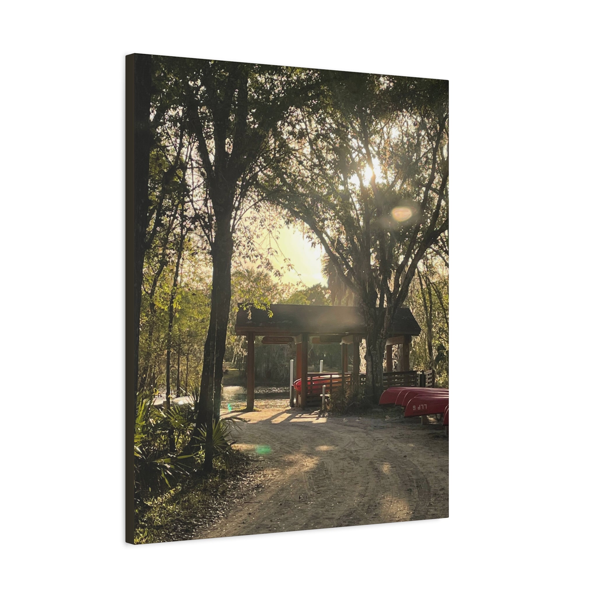 Hazy Morning Kayak - Sunlit Forest Matte Stretched Wall Art