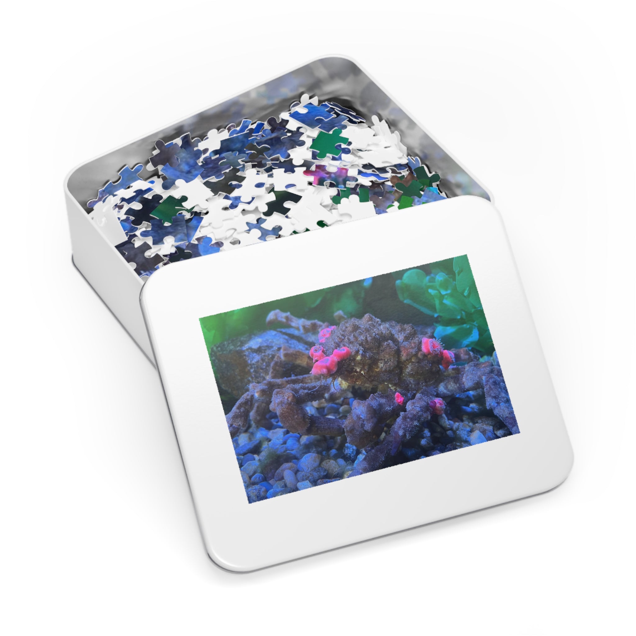 Decorator Crab Jigsaw Puzzle — Marine Life Puzzle with Colorful Anemones