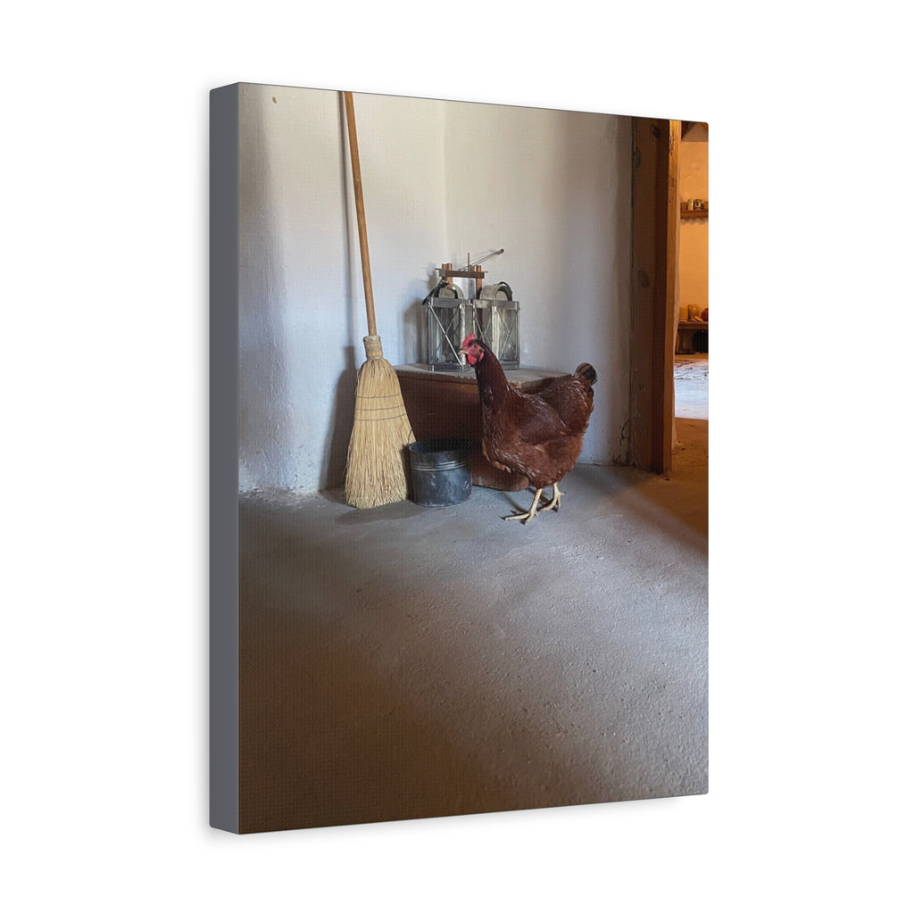 Farmhouse Chicken Canvas Print - Rustic Hen Matte Stretched Wall Art