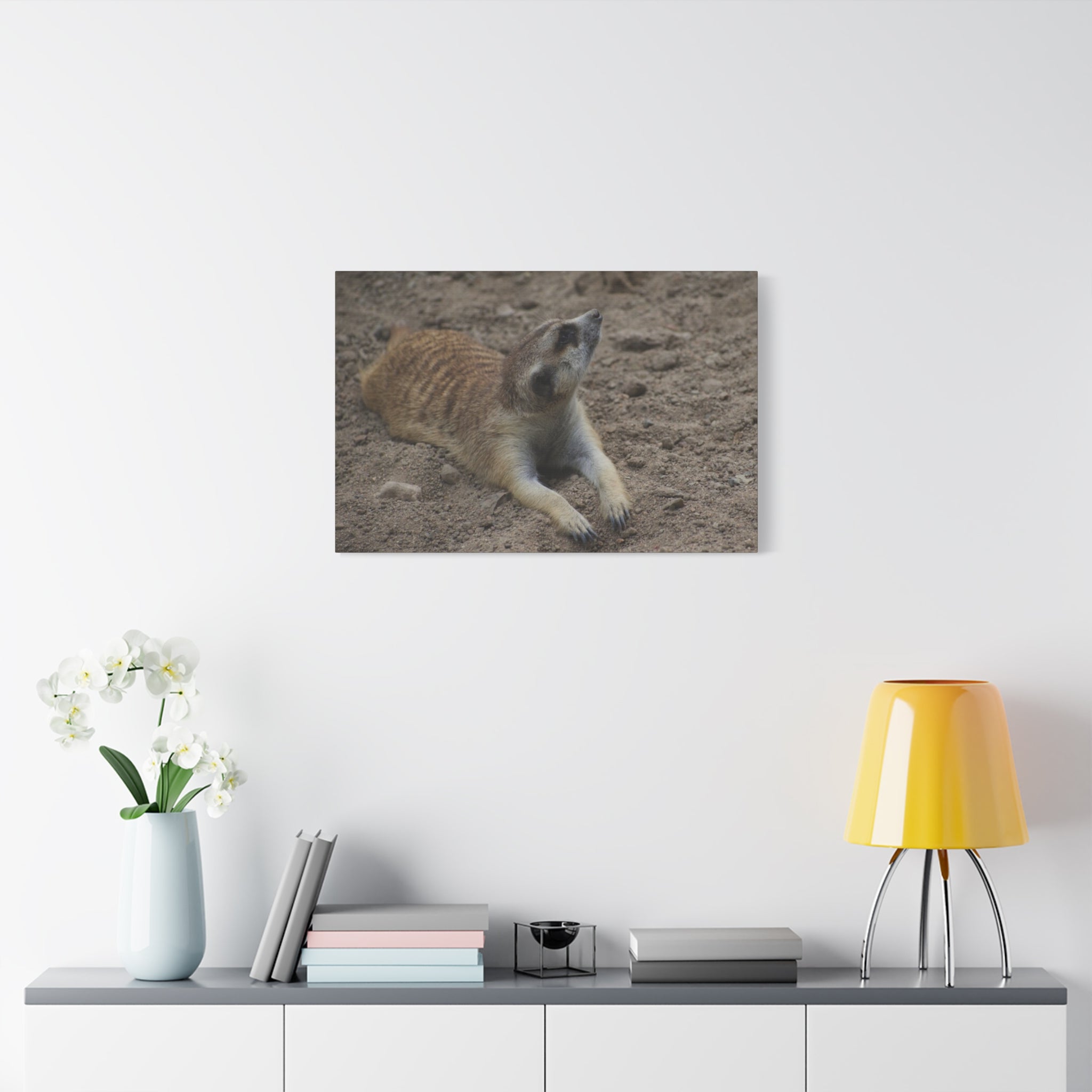 Meerkat Stretch Canvas Wall Art – Relaxed Desert Wildlife Print